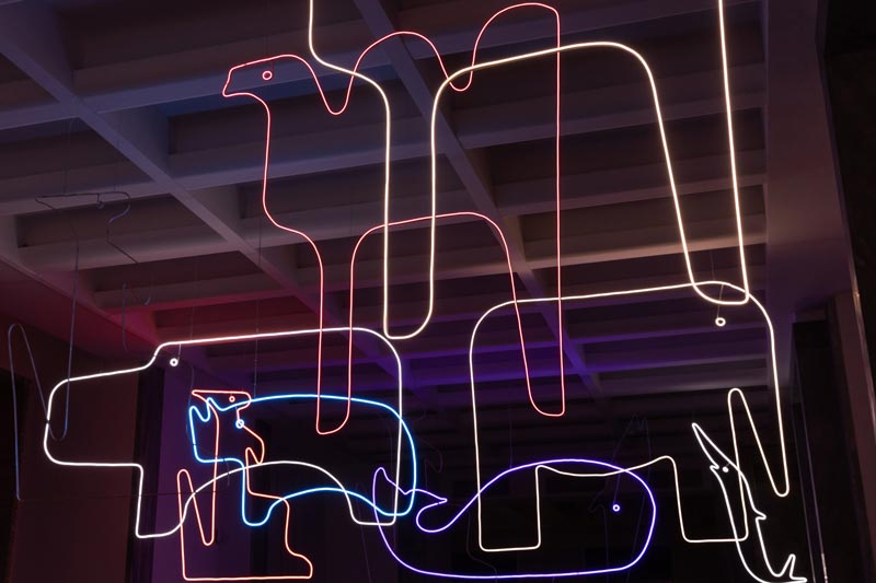 Enzo Mari curated by Hans Ulrich Obrist| Virtual tour