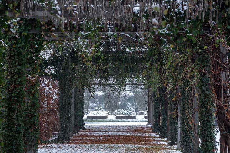 Zolle Reali. Le Stagioni dei Giardini alla Venaria Reale